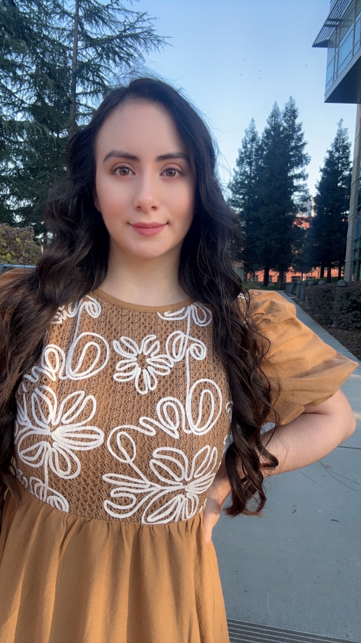 Jess Embroidered Dress