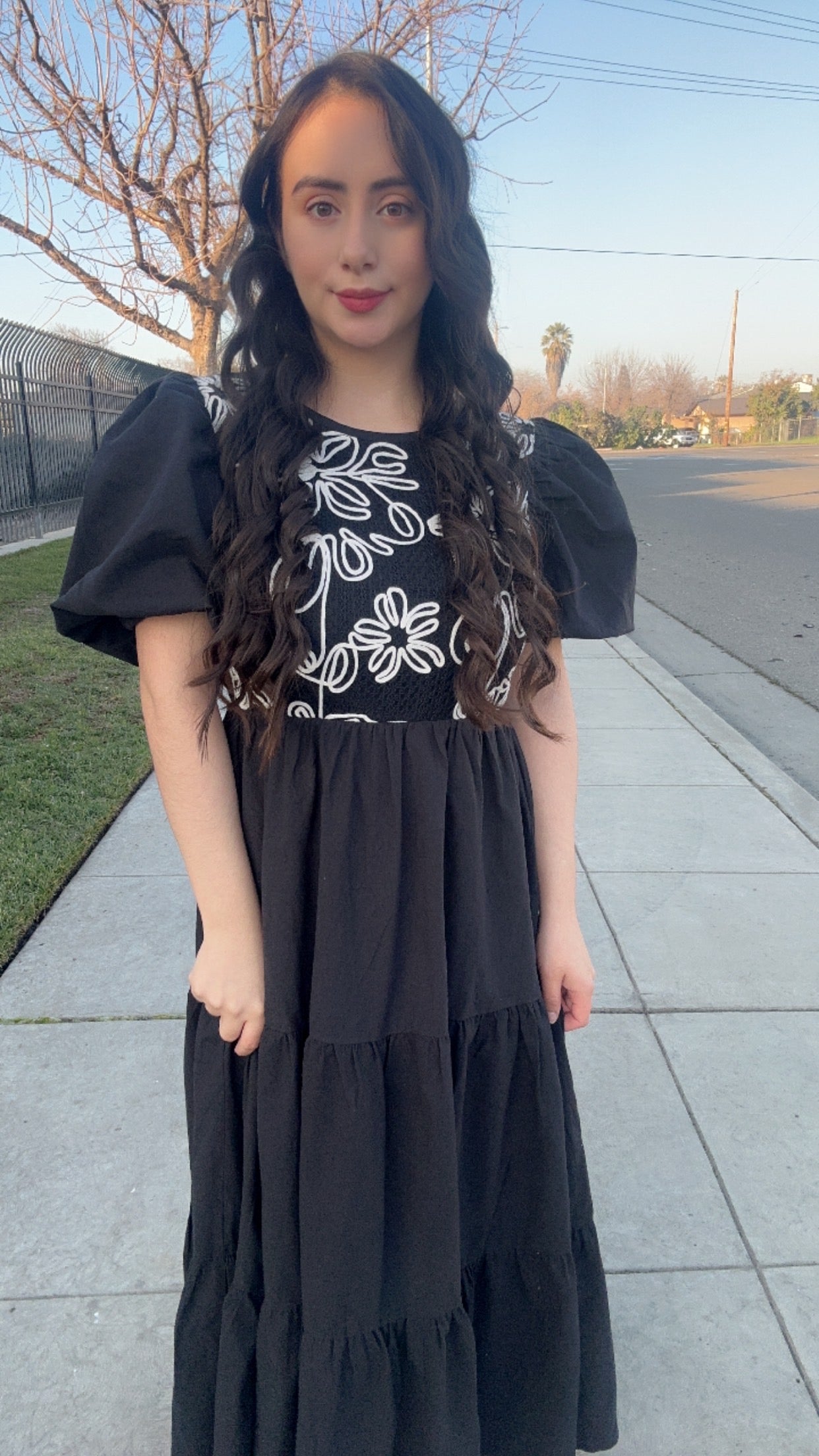 Jess Embroidered Dress