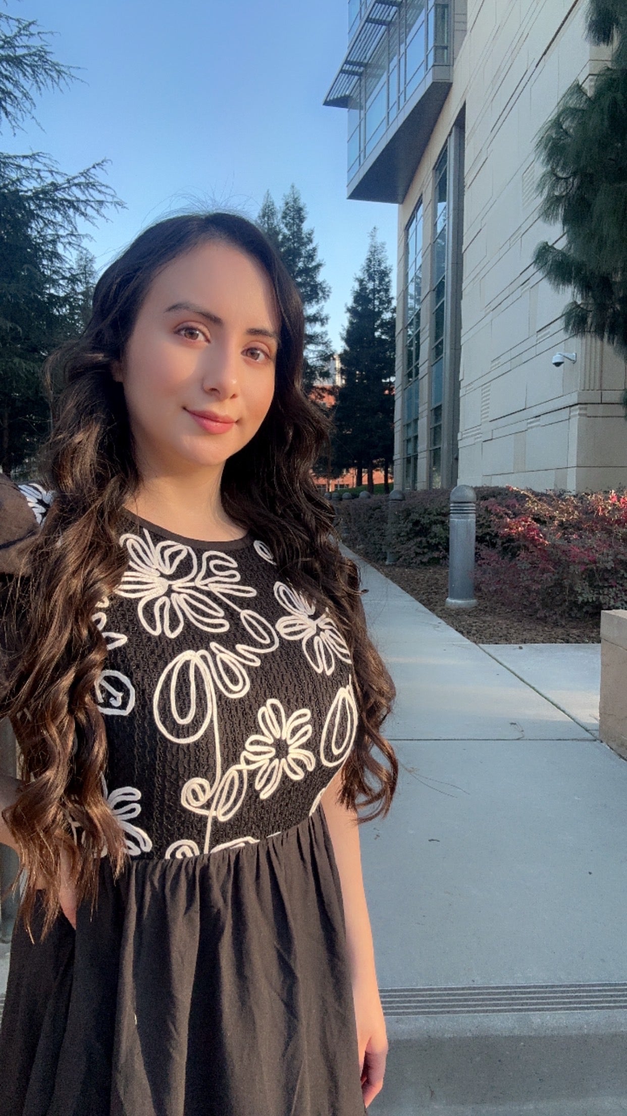 Jess Embroidered Dress