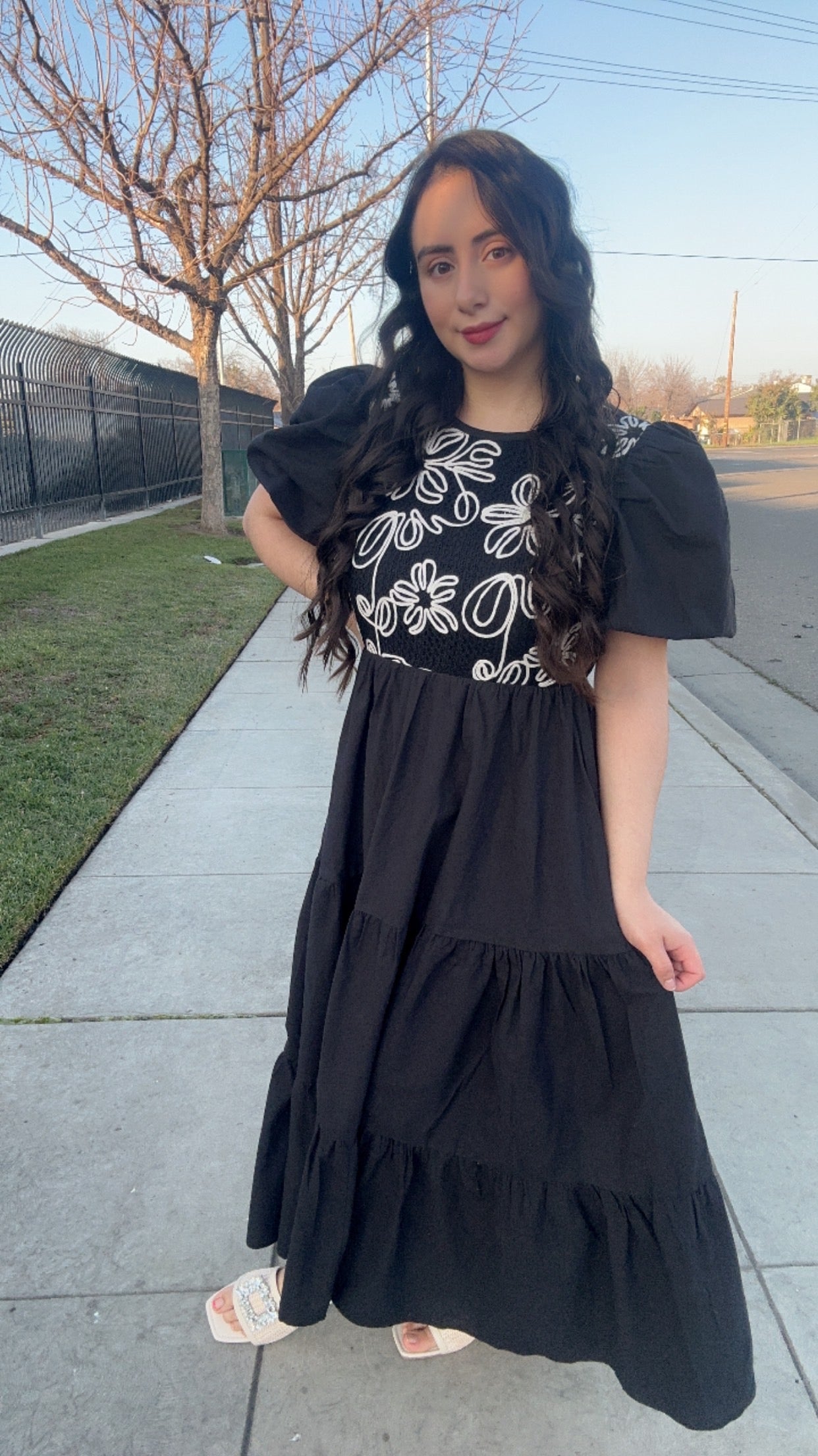 Jess Embroidered Dress