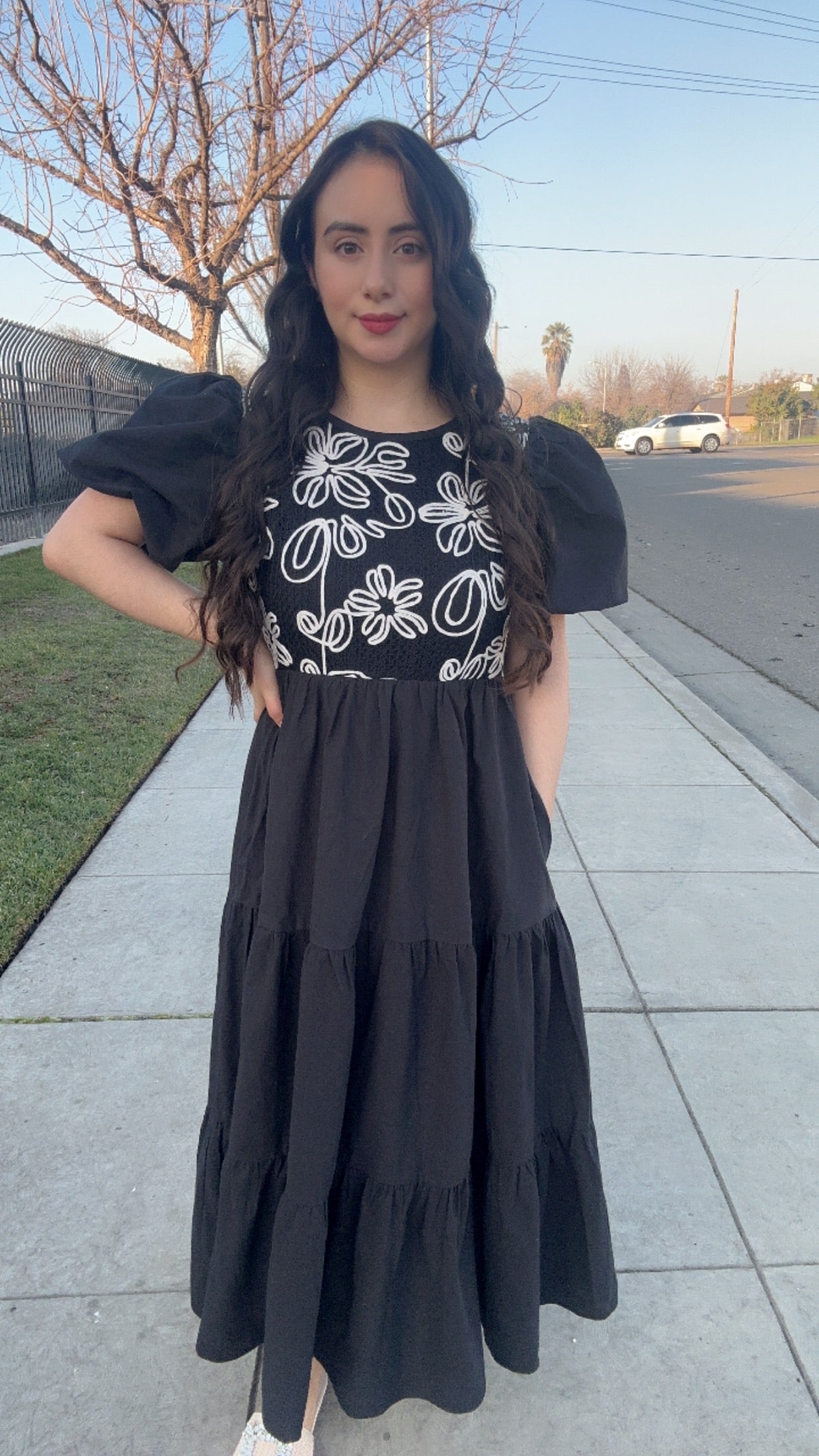 Jess Embroidered Dress