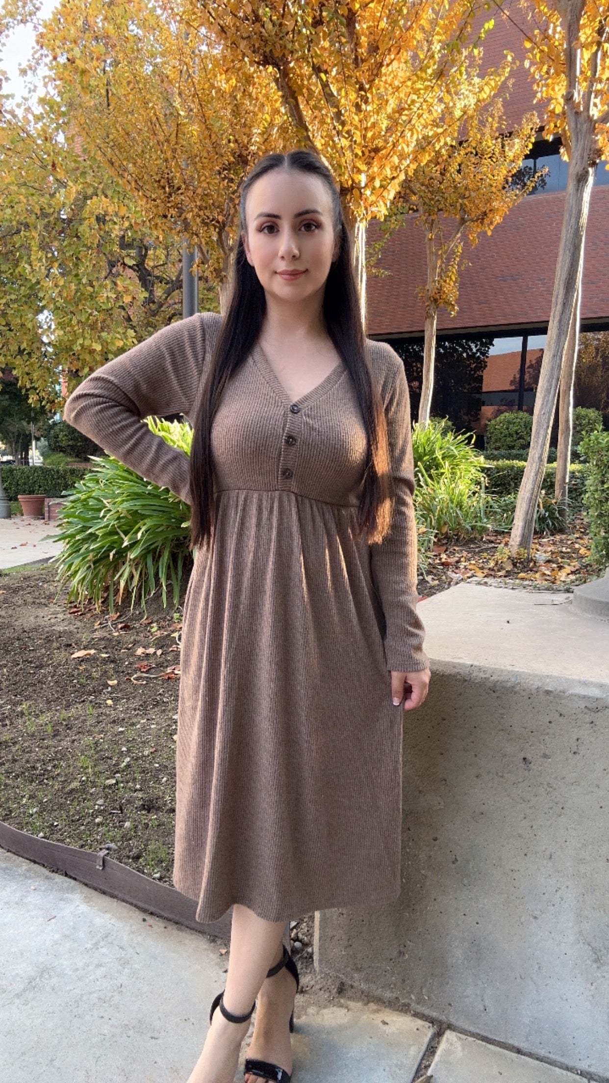 Mocha Dress