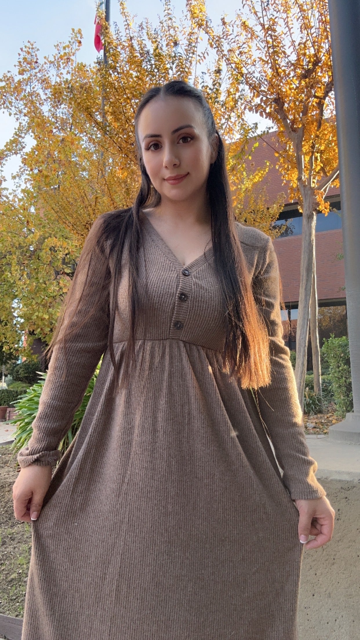 Mocha Dress