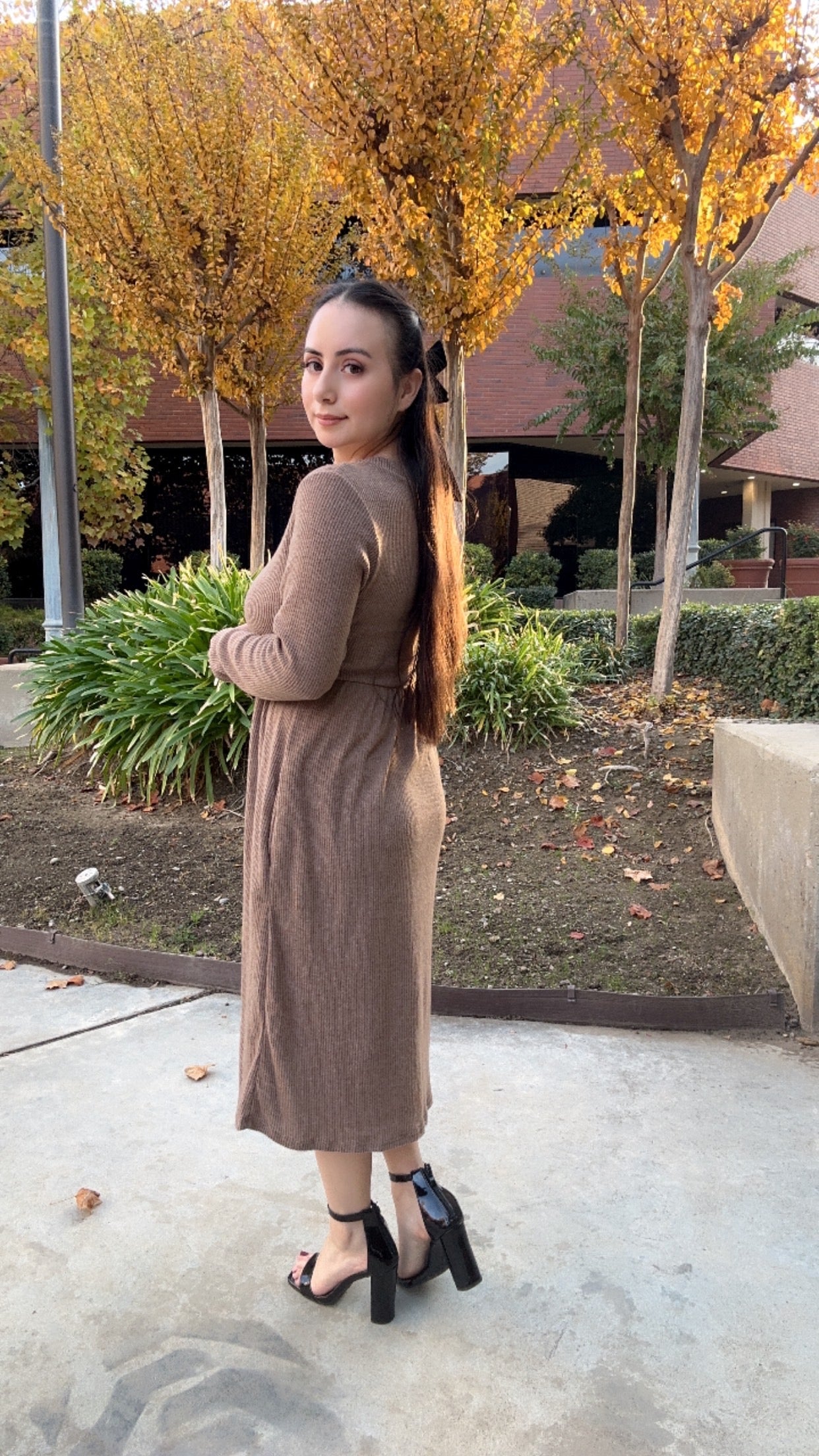 Mocha Dress